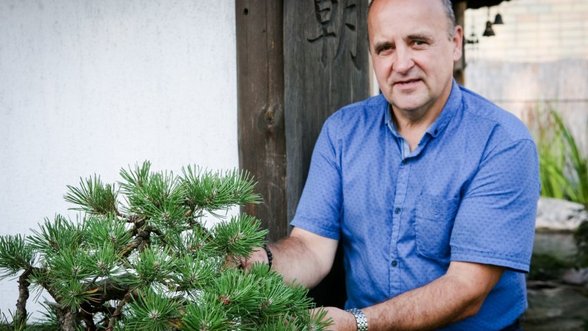 Garsaus meistro patarimai, kaip namuose auginti bonsai medelį