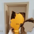 Sočio tualete įstrigęs JAV bobslėjininkas duris tiesiog sutrupino