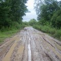 Dėl gausių kritulių miškuose skęsta mediena, klimpsta sunkioji technika