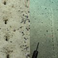 Į vandenyno gelmes nusileidusius mokslininkus apstulbino keisti pasikartojantys reiškiniai: kas palieka šiuos paslaptingus pėdsakus dugne?