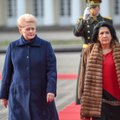 Президент Литвы - президенту Грузии: "Ваша страна оставлена один на один с Россией"