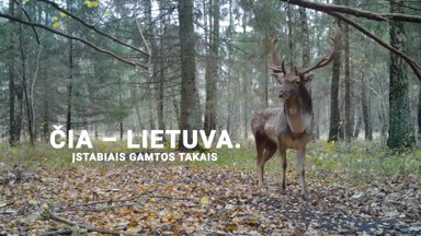 Čia – Lietuva. Įstabiais gamtos takais. 3 dalis