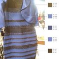Netyla aistros dėl diskusijų audrą internete sukėlusios suknelės - kokių dar spalvų tikėtis?