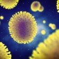 Flu epidemic declared in seven municipalities