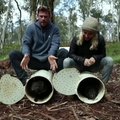 Aktorius Chrisas Hemsworthas padėjo į Australiją sugrąžinti Tasmanijos velnius