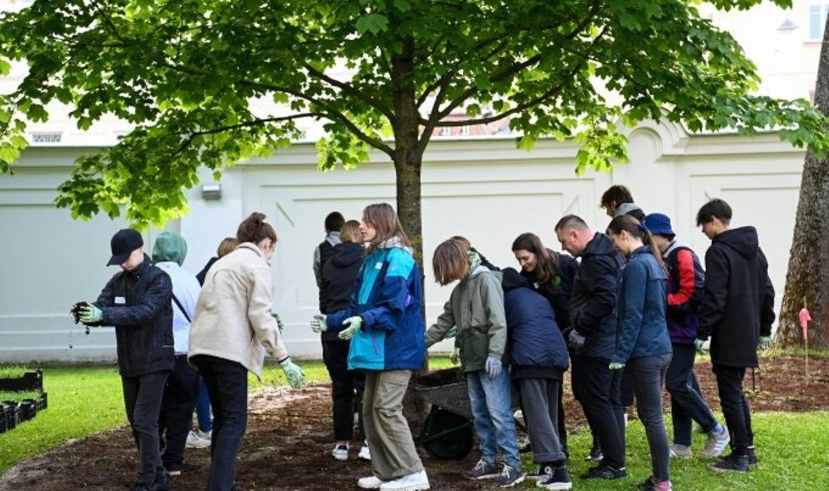 Prezidentūros istoriniame parke įkurtas bioįvairovės kampelis