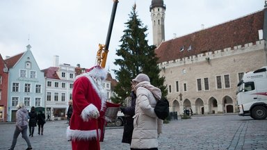На Ратушной площади Таллинна установлена рождественская ель