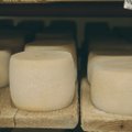 Pigo sviestas ir sūris, pabrango pieno miltai - ką tai reiškia lietuviams