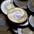 Lenkijos zloto kursas euro atžvilgiu nukrito į 12 metų nematytas žemumas
