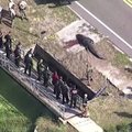 Floridos gyventojas policijai pranešė aligatoriaus nasruose matęs žmogaus kūną