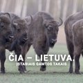 Čia – Lietuva. Įstabiais gamtos takais. 8 dalis