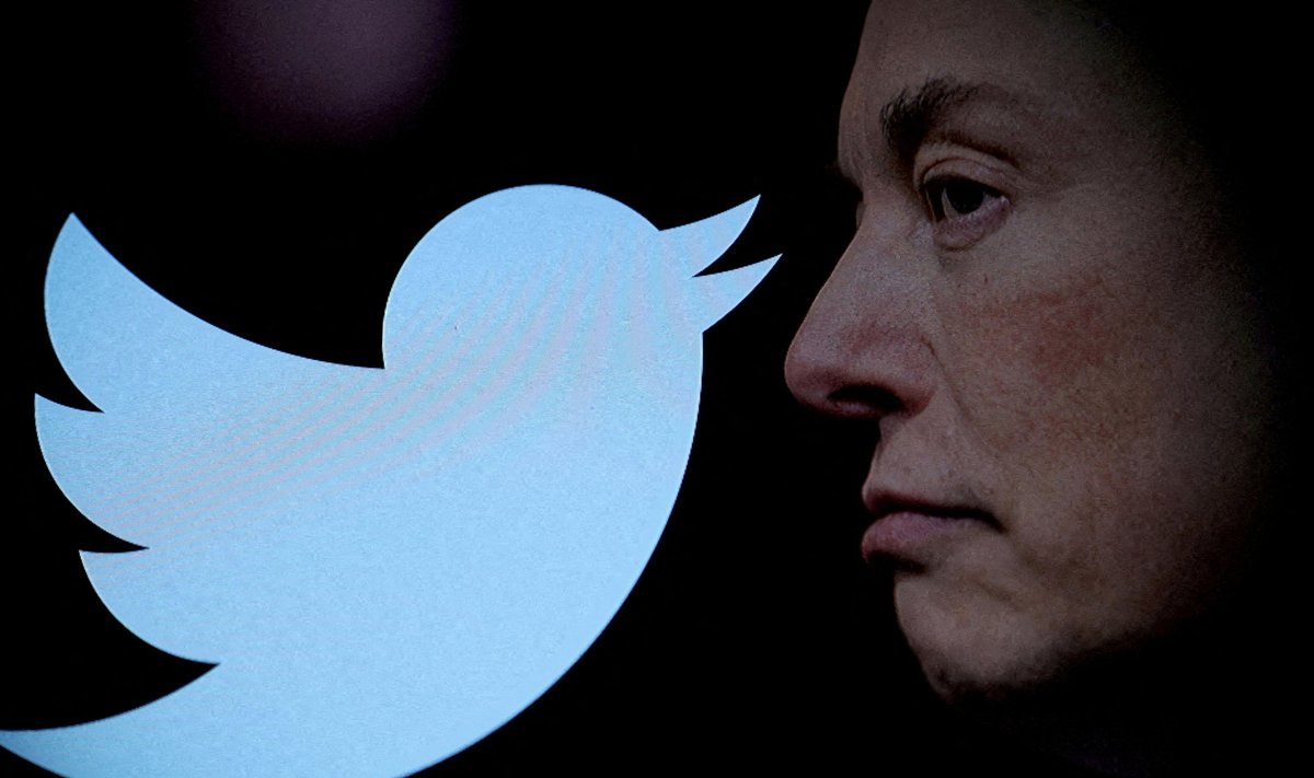„Twitter“ paukščio logotipas, Elonas Muskas