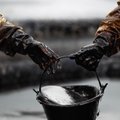 Naftos Lietuvoje yra daugiau, nei manyta