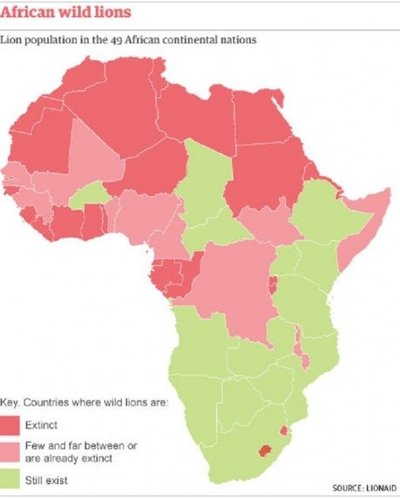 Liūtų populiacija Afrikoje: tamsiai raudona: išnykę, šviesiai raudona: ant išnykimo ribos, žalia: egzistuoja didesniais skaičiais