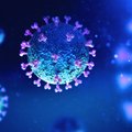 Kinijoje pradėjo plisti dar vienas retos atminos gyvūninės kilmės virusas: juo užsikrėtė 41-erių metų vyras