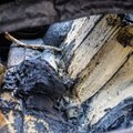 Kauno rajone naktį sudegė elektromobilis, įtariamas padegimas