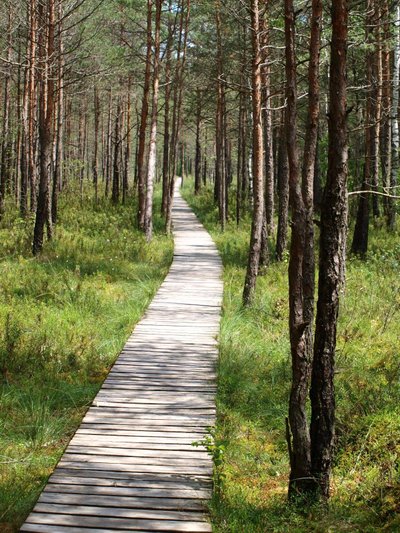 Varnikų pažintinis takas