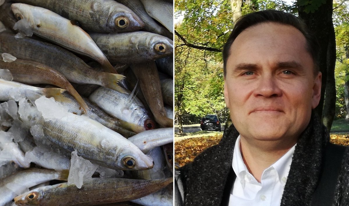 Alfas live. Žuvies auginimo ekspertas patars: kaip išsirinkti gerą žuvį ir jos neperkepti?