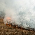 Per savaitgalį Lietuvoje kilo 129 žolės gaisrai