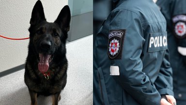 Паневежская полиция просит о помощи: пропала служебная собака