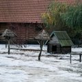 Užsimena apie didžiąją potvynio bangą Klaipėdoje: tai kelia didžiulį rūpestį, prabilo apie dar vieną bėdą