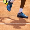 Vilniuje bus atidaryti lauko teniso aikštynai