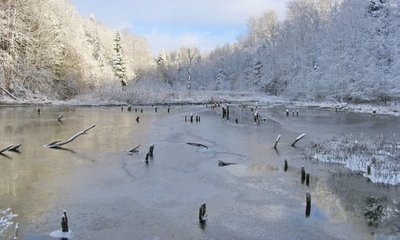 Balskų tvenkinys/ Pagramančio regioninio parko nuotr.