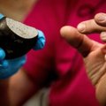 Nyderlandų mokslininkai švenčia reto meteorito atradimą