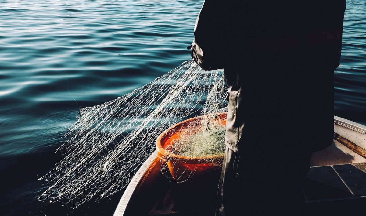 Žvejyba tinklu