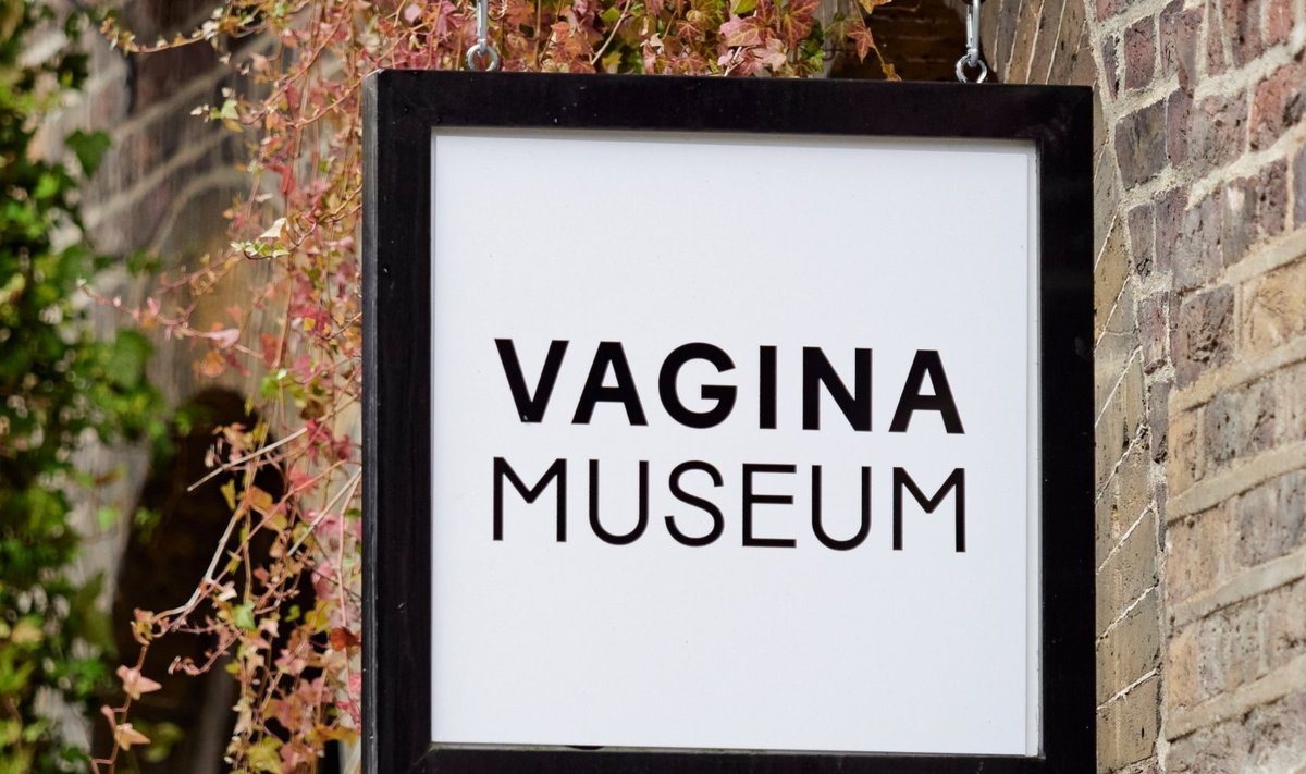 Vaginos muziejus