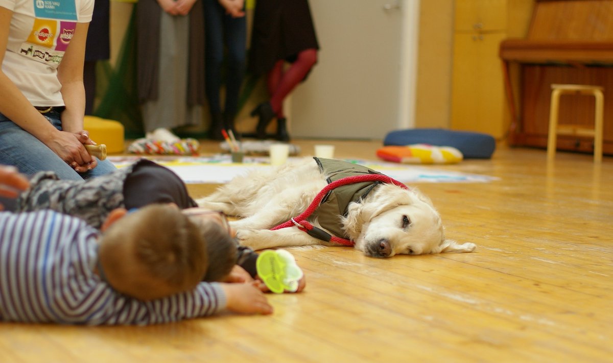 Terapija su šunimis Vilniaus SOS vaikų kaime