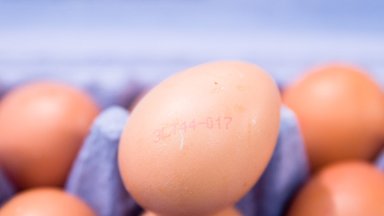 Išmokite šifruoti skaičius, užrašytus ant kiaušinio