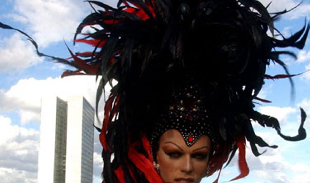 Prie Kongreso pastato Brazilijos mieste pozuoja transvestitas - vienas iš daugiau kaip 1,5 tūkst. birželio 20 dieną šiame mieste surengto gėjų ir lesbiečių parado dalyvių.