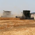 Premjeras: Ukrainos žemdirbiai jau prikūlė beveik 16,6 mln. tonų grūdų