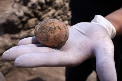 Izraelyje aptiktas 1000 metų išsilaikęs kiaušinis.