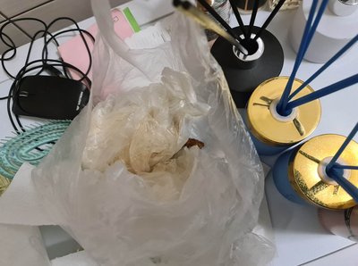 Drugs in Alytus Prison