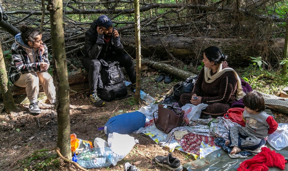 Ignalinos rajono miškuose sutikta migrantų šeima