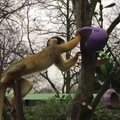 Londono zoologijos sode beždžionėms Velykos jau atėjo