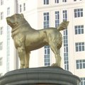 Turkmėnistane atidengta didžiulė paauksuota šuns skulptūra