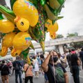 Tailande kyla „guminių ančiukų revoliucija“