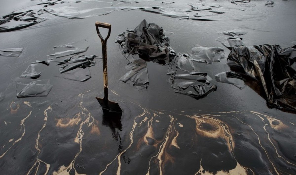 Naftos produktais užterštas teritorijas, kaip šį paplūdimį  būtų galima išvalyti gerokai pigiau 