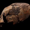 Kinijoje rastos neįprastos kaukolės, kurių amžius 12 000 metų