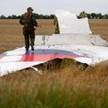 Dėl MH17 lainerio numušimo teisiamas rusas tikina nematęs jokios raketos