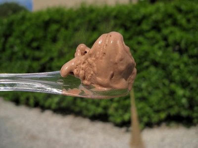 Ledų festivalis Florencijoje - šokoladinio kremo ledai