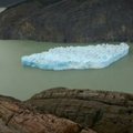 Neįtikėtinų matmenų nuo ledyno Čilėje atskilęs ledkalnis