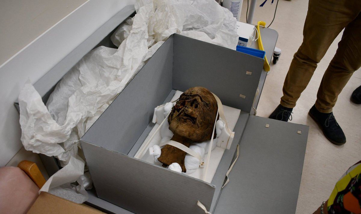Atrasta mumijos galva Anglijoje