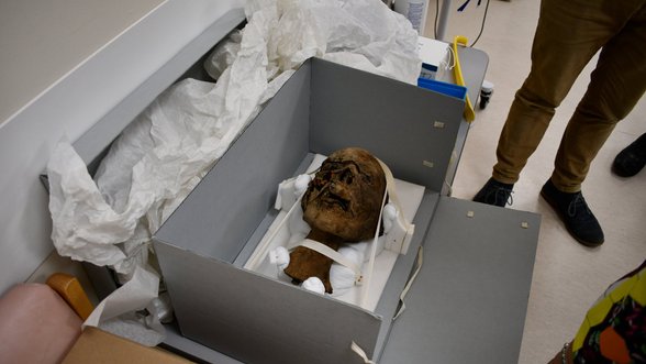 Šiurpus radinys namo pastogėje: pareigūnai rado nukirstą mumijos galvą išgremžtomis smegenimis, jos kilmė – dar kraupesnė