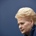 Už dingusio lėktuvo paiešką atsakingoms institucijoms – D. Grybauskaitės kritika