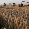 Pokyčius pajus Lietuvos ūkininkai: EP sutarė, kad didėja tiesioginės išmokos šaliai