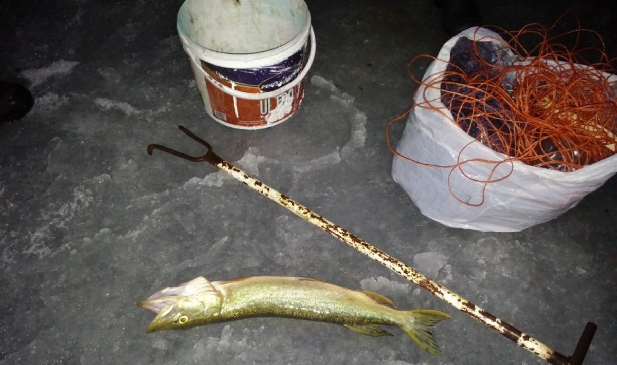 Konfiskuota brakonieriaus lydeka ir žvejybos įrankiai